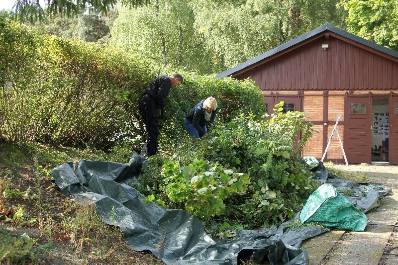 _arbeitseinsatz_07.jpg